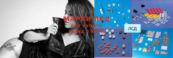 ПСИЛОЦИБИНОВЫЕ ГРИБЫ Баксан