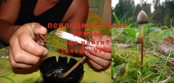 ПСИЛОЦИБИНОВЫЕ ГРИБЫ Баксан
